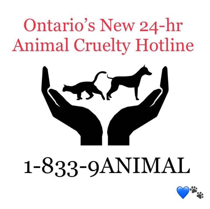 ospca logo